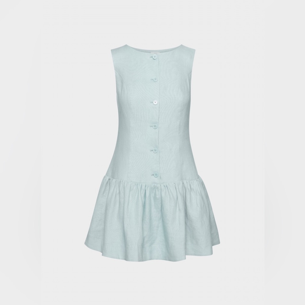 Aritzia Light Blue Sleeveless Button-Down Dress